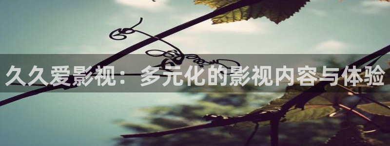 欧洲免费理论电影