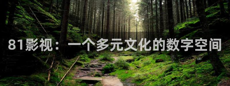 电影电视基础理论