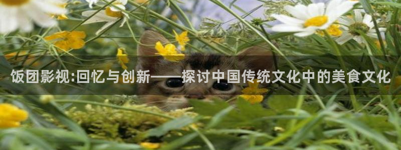 免费观看理论a视频