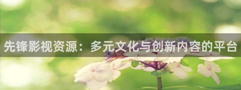 韩国电影理论妈妈的朋友