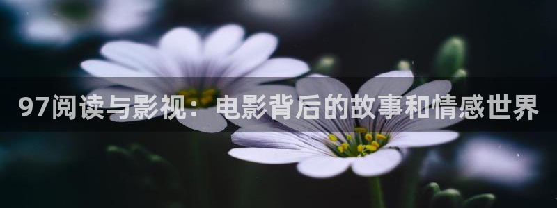 免费理论在线电影
