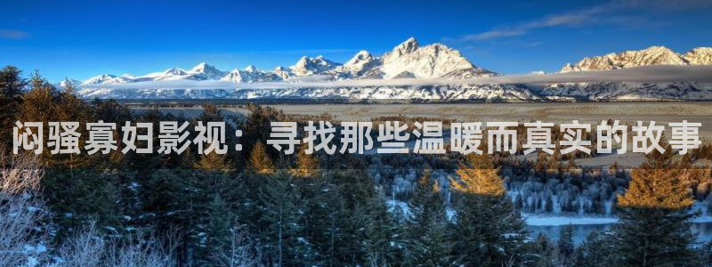 万物理论电影简介
