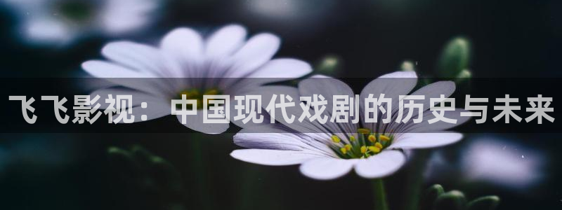 神马影院理论毛片
