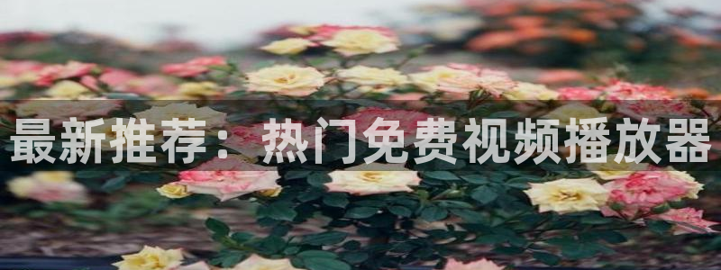 聊斋理论电影片