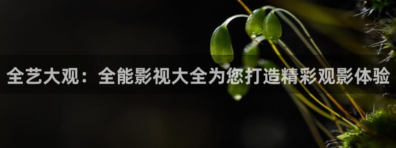 日韩理论电影在线