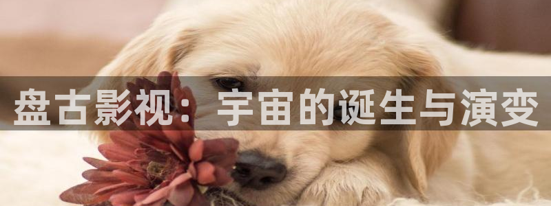 韩国理论电影朋友妈妈