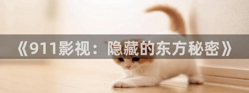 成人理论电影在线：《911影视：隐藏的东方秘密》