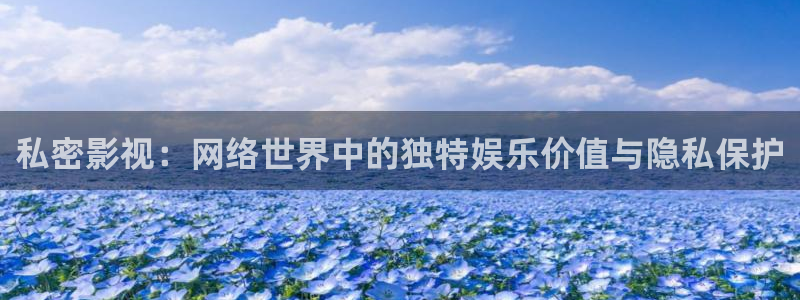 2016理论电影：私密影视：网络世界中的独特娱乐价值与隐私保护